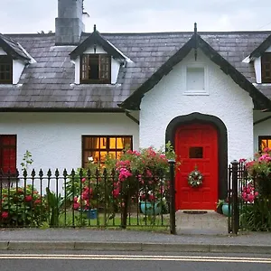 Bed and breakfast Ivy, Killarney